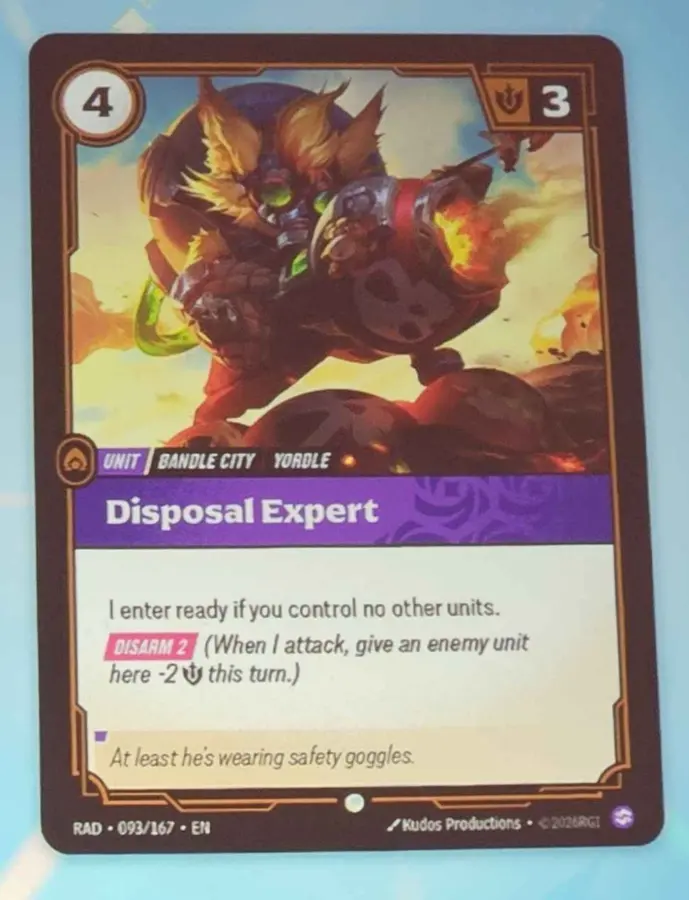 Disposal Expert