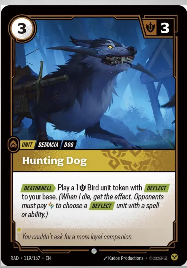 Hunting Dog